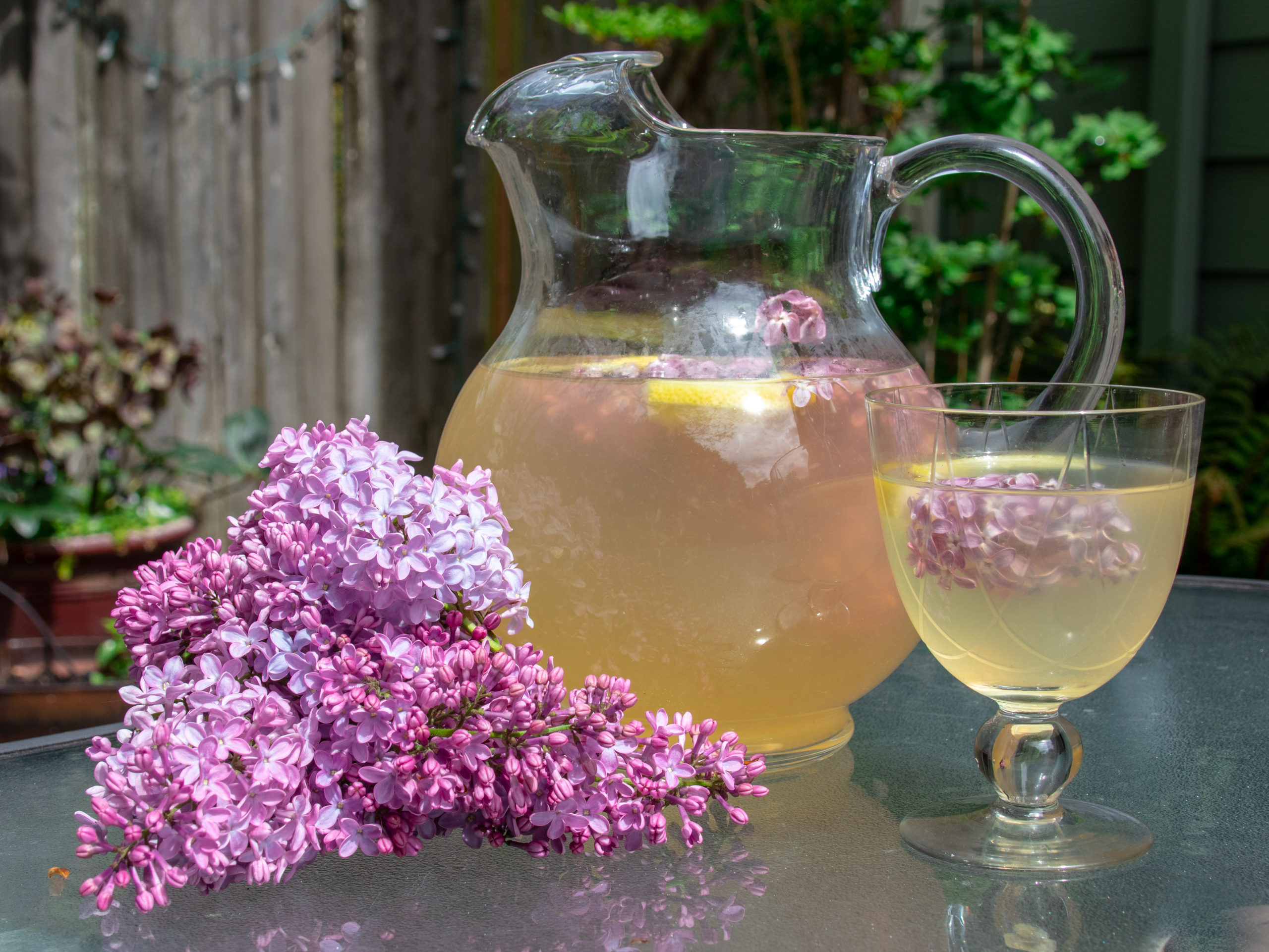 Delicious Lilac Lemonade Recipe and Health Benefits